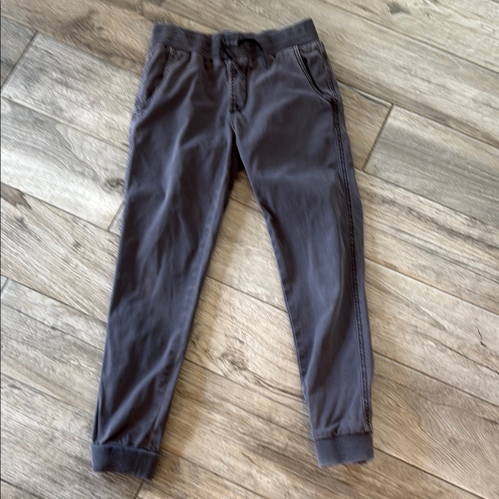EUC Hudson Jeans grey jogger pants m, sz M